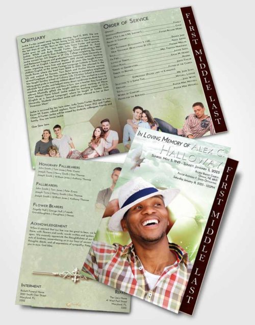 2 Page Graduated Step Fold Funeral Program Template Brochure Strawberry Mist Soccer Destiny