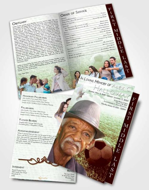 2 Page Graduated Step Fold Funeral Program Template Brochure Strawberry Mist Soccer Journey
