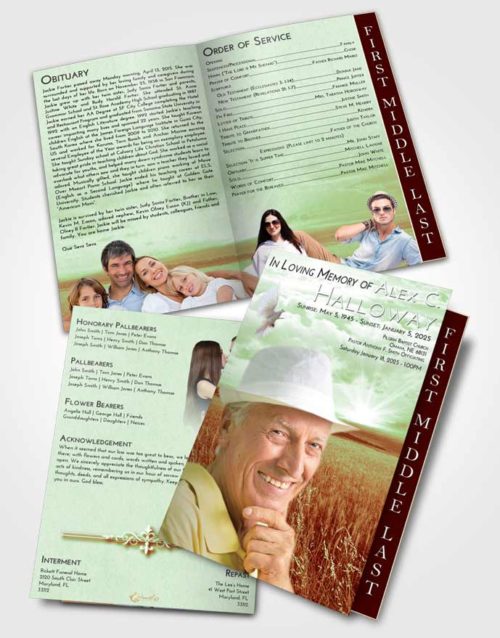 2 Page Graduated Step Fold Funeral Program Template Brochure Strawberry Mist Wheat Fields