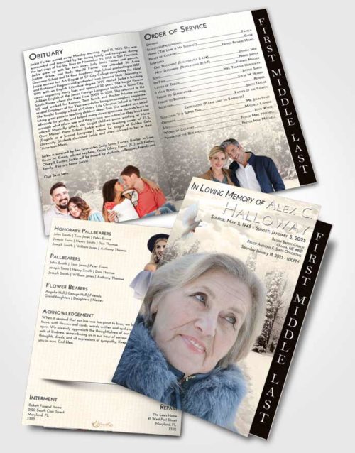 2 Page Graduated Step Fold Funeral Program Template Brochure Tranquil Snow Garden