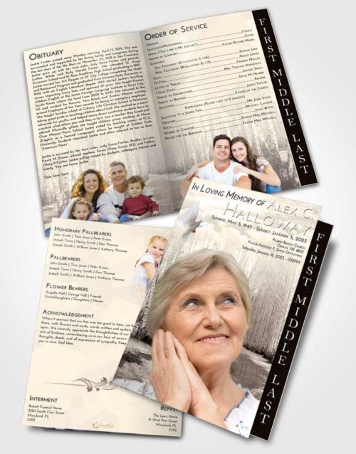 2 Page Graduated Step Fold Funeral Program Template Brochure Tranquil Snowy Stream