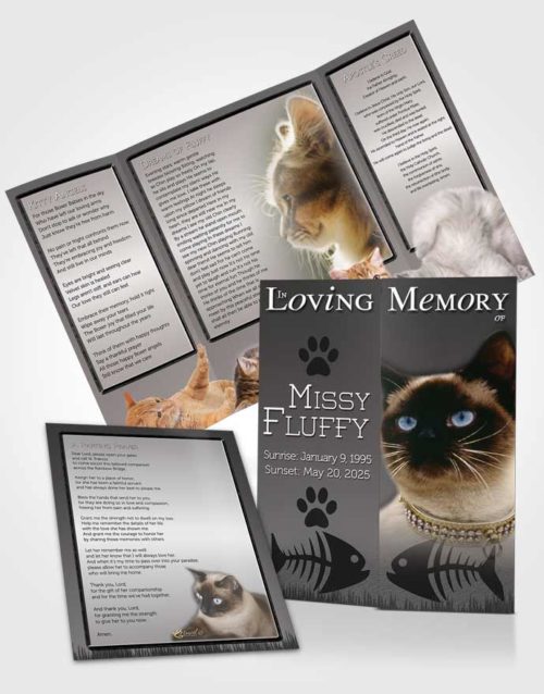 Obituary Funeral Template Gatefold Memorial Brochure Black and White Fluffy Kitty