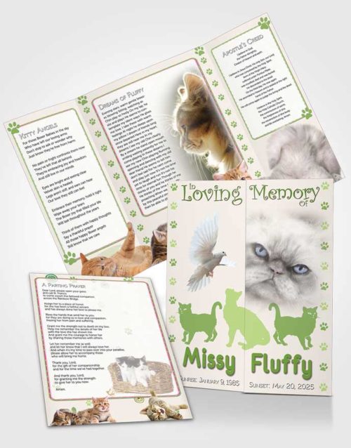 Obituary Funeral Template Gatefold Memorial Brochure Emerald Fluffy Cat
