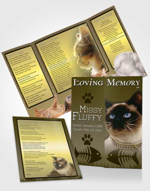 Obituary Funeral Template Gatefold Memorial Brochure Emerald Fluffy Kitty