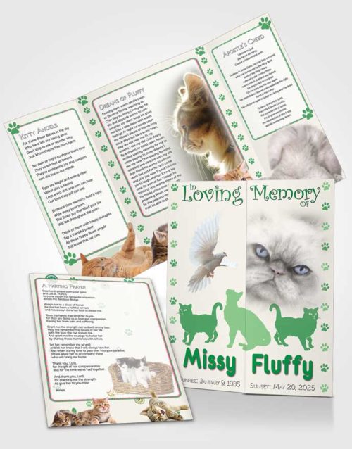 Obituary Funeral Template Gatefold Memorial Brochure Forest Fluffy Cat