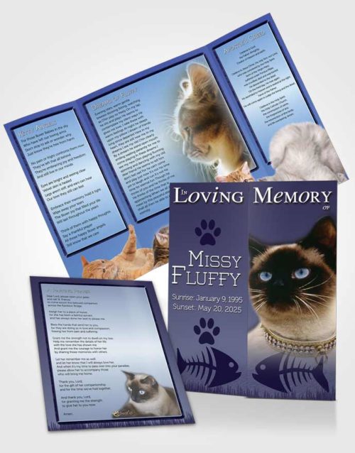 Obituary Funeral Template Gatefold Memorial Brochure Blue Fluffy Kitty