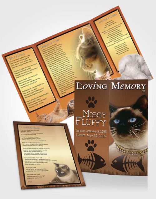 Obituary Funeral Template Gatefold Memorial Brochure Golden Fluffy Kitty