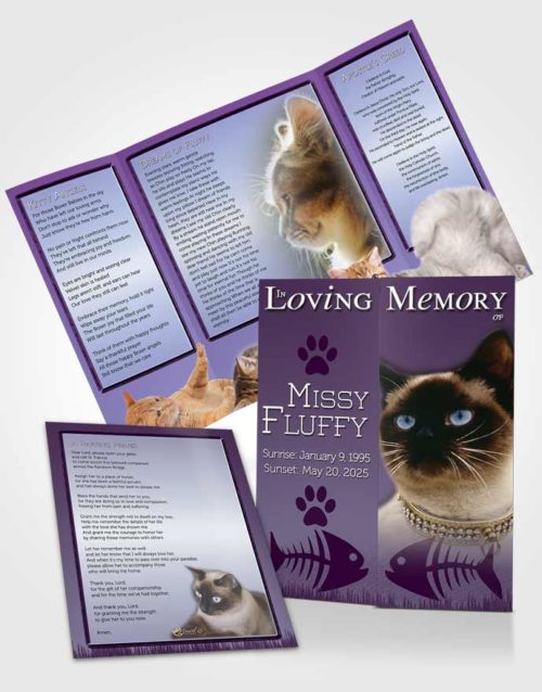 Obituary Funeral Template Gatefold Memorial Brochure Lavender Fluffy Kitty
