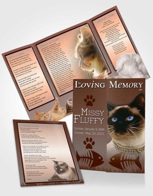 Obituary Funeral Template Gatefold Memorial Brochure Peach Fluffy Kitty
