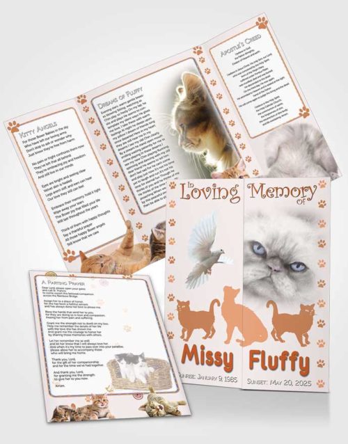 Obituary Funeral Template Gatefold Memorial Brochure Peachy Fluffy Cat