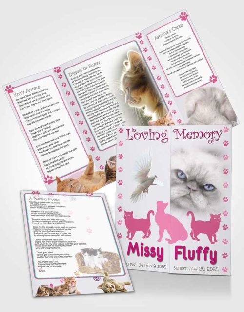 Obituary Funeral Template Gatefold Memorial Brochure Pink Fluffy Cat
