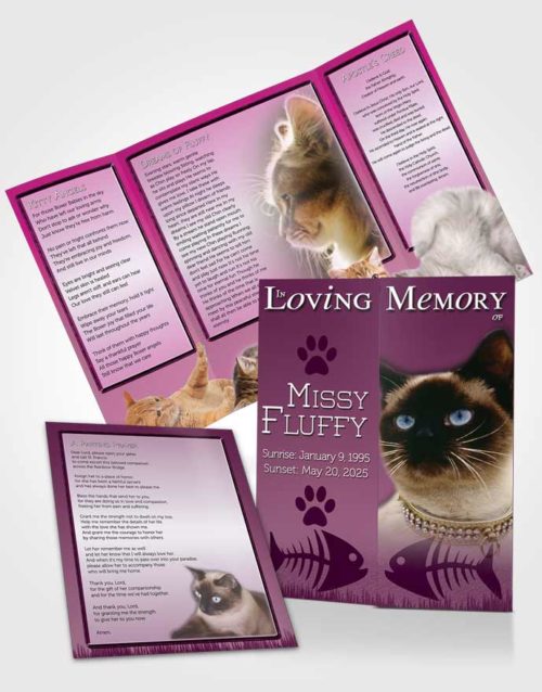 Obituary Funeral Template Gatefold Memorial Brochure Pinky Fluffy Kitty