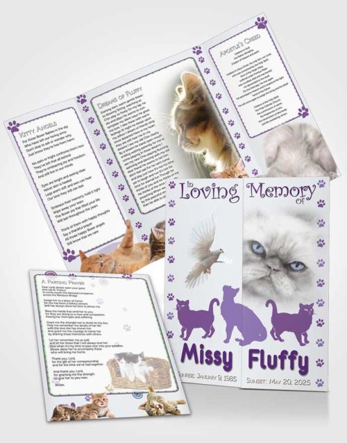Obituary Funeral Template Gatefold Memorial Brochure Purple Fluffy Cat
