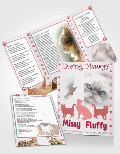 Obituary Funeral Template Gatefold Memorial Brochure Rosy Fluffy Cat