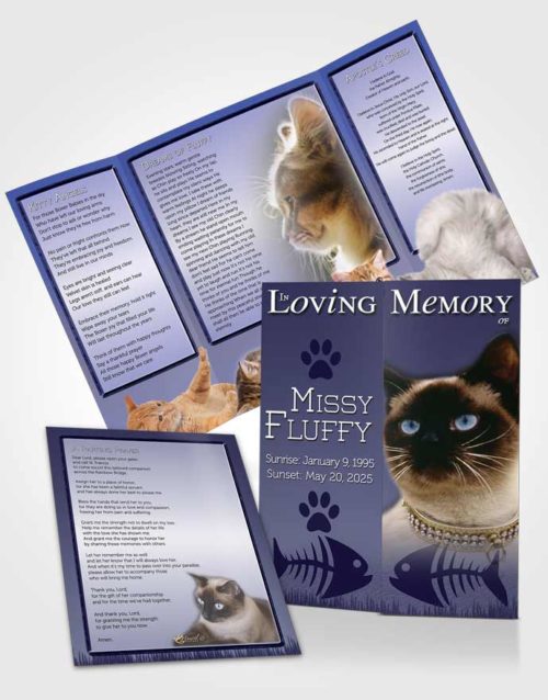 Obituary Funeral Template Gatefold Memorial Brochure Sky Blue Fluffy Kitty
