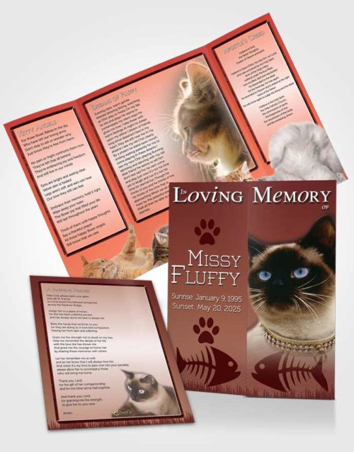 Obituary Funeral Template Gatefold Memorial Brochure Strawberry Fluffy Kitty