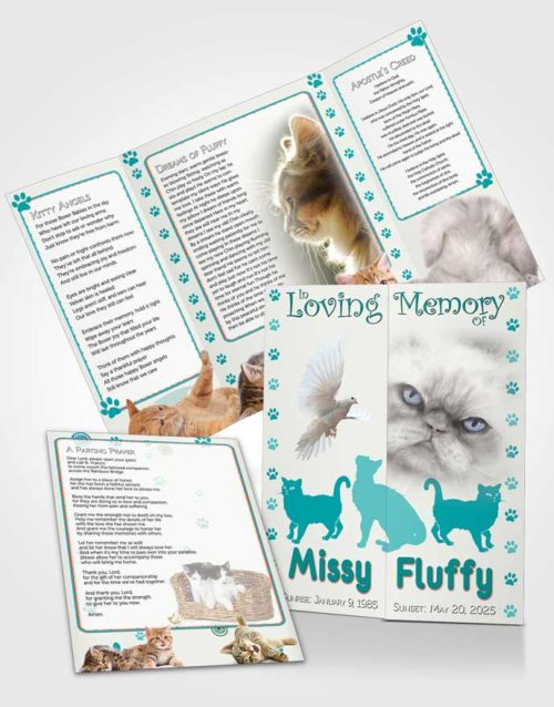 Obituary Funeral Template Gatefold Memorial Brochure Turquoise Fluffy Cat