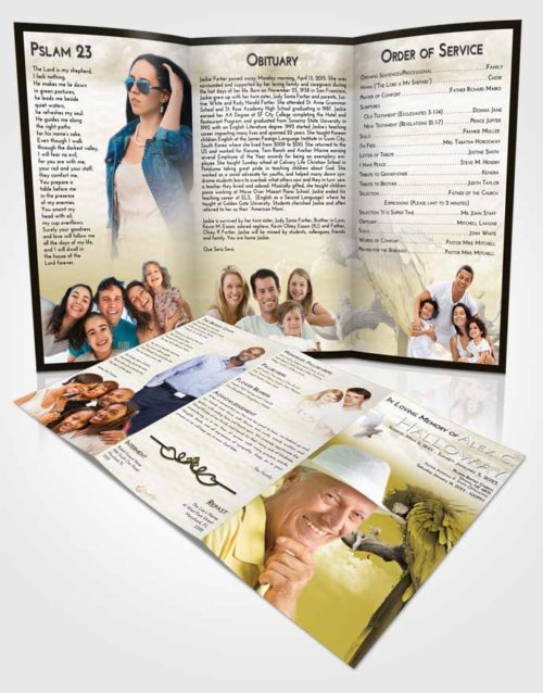 Obituary Template Trifold Brochure Harmony Magical Parrot