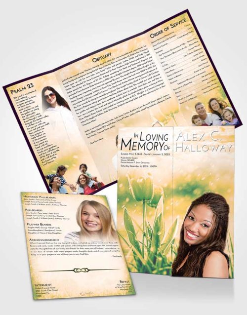 Obituary Funeral Template Gatefold Memorial Brochure Emerald Serenity Tulip Whisper