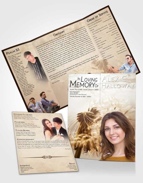 Obituary Funeral Template Gatefold Memorial Brochure Golden Peach Dandelion Dream