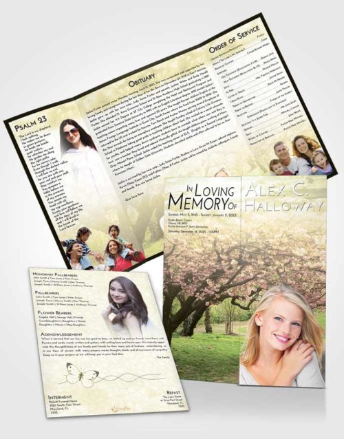 Obituary Funeral Template Gatefold Memorial Brochure At Dusk Flowering Path
