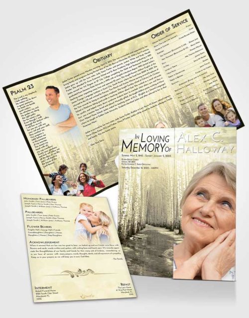 Obituary Funeral Template Gatefold Memorial Brochure At Dusk Snowy Stream