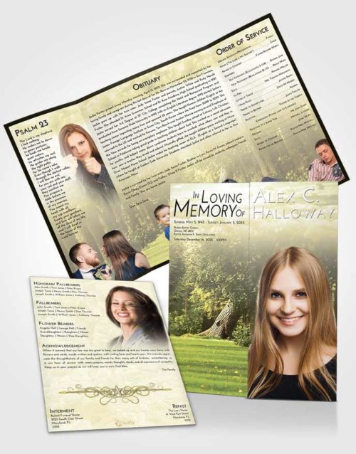 Obituary Funeral Template Gatefold Memorial Brochure At Dusk Summer Forest