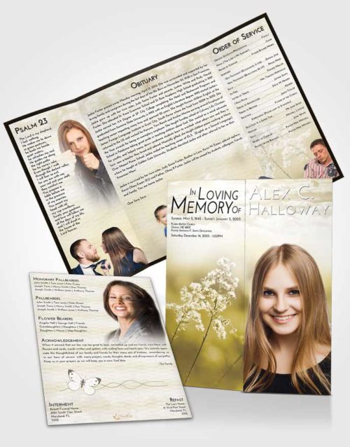 Obituary Funeral Template Gatefold Memorial Brochure Harmony Colorful Spring