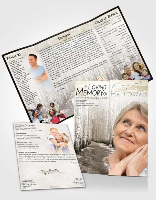Obituary Funeral Template Gatefold Memorial Brochure Harmony Snowy Stream