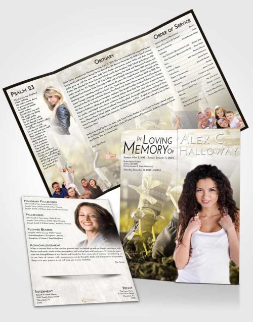 Obituary Funeral Template Gatefold Memorial Brochure Harmony Gardening Star